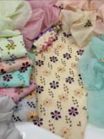 Handmade Applic Work On khaddi karandi Net  Fabric Full Shirt Jall With Booti Jall Dupatta 2pc Suit👗